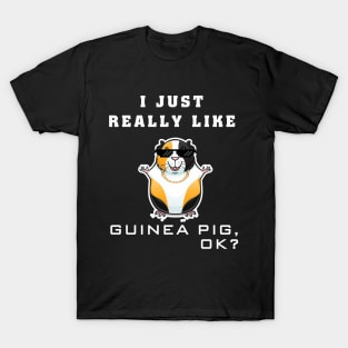 Guinea Pig Lover | Best Slayer Ever T-Shirt